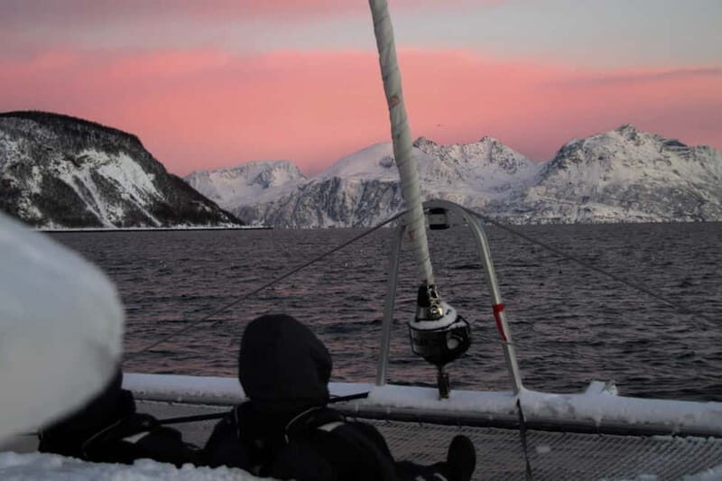 Tromsø: Arctic Fjord Sightseeing Cruise in Luxury Catamaran - Frequently Asked Questions