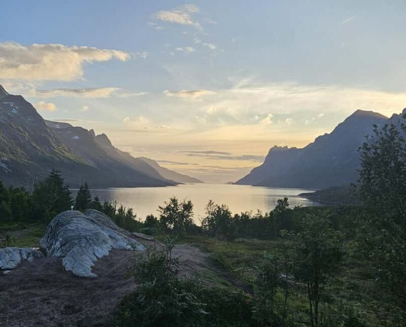 Tromsø: Arctic Fjords Tour. Sommerøya and Kvaløya with Lunch - Key Points