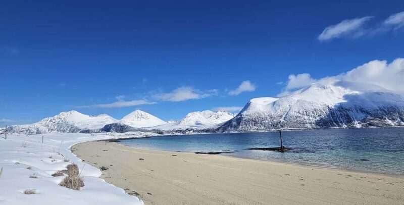 Tromsø: Arctic Fjords Tour. Sommerøya and Kvaløya with Lunch - Who Is This Tour Best For?