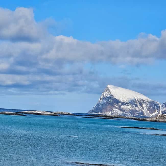 Tromsø: Arctic Fjords Tour. Sommerøya and Kvaløya with Lunch - FAQ