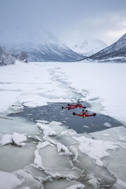 Tromsø: Arctic Floating with Snacks and Drinks - Frequently Asked Questions