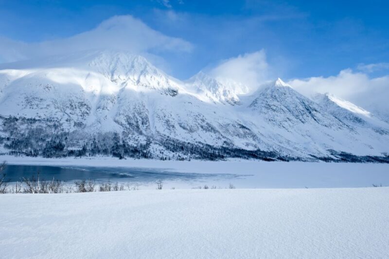 Tromsø: Arctic Landscape and Fjord Tour with Snacks - The Sum Up