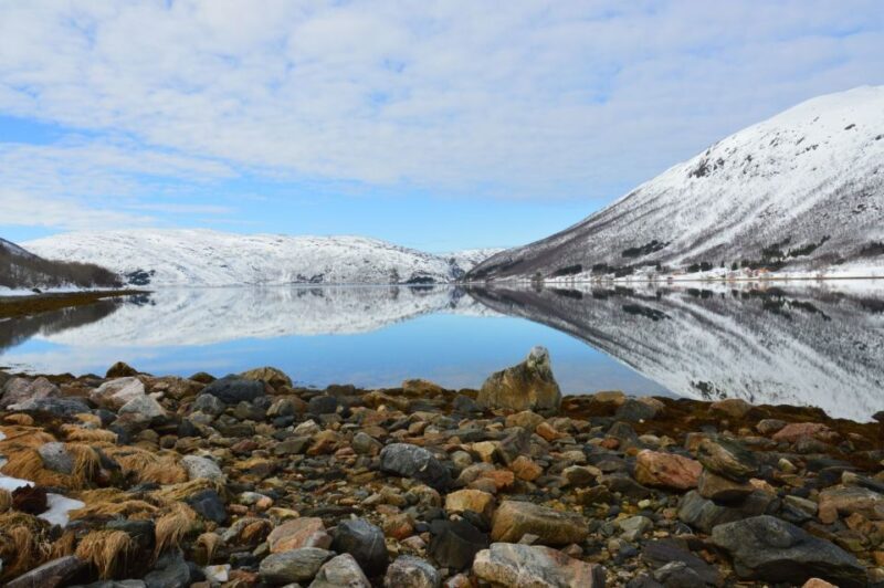 Tromsø: Arctic Landscape and Fjord Tour with Snacks - FAQ