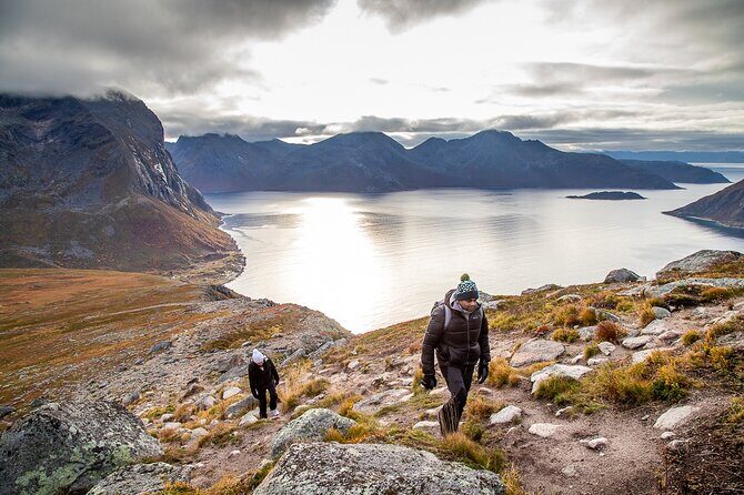 Tromsø: Arctic Landscapes Hiking / Snowshoeing Tour in the wild - Who Should Consider This Adventure?