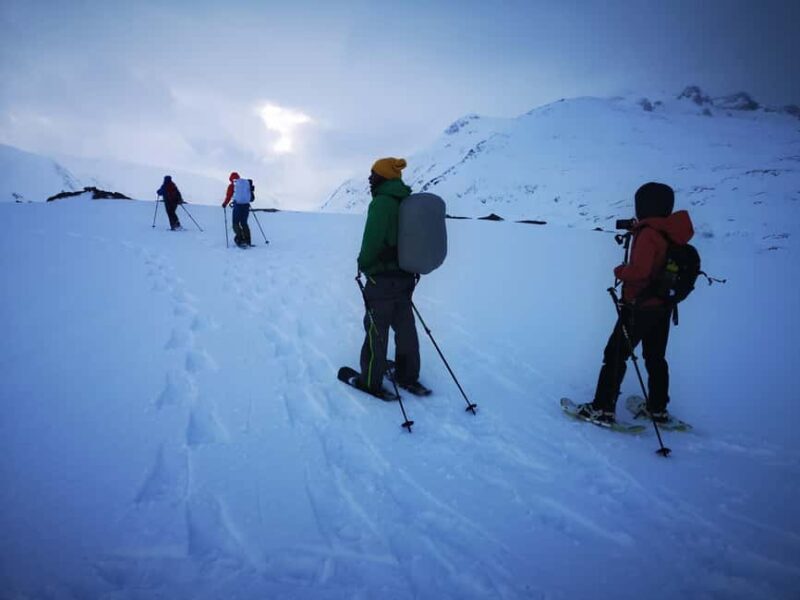 Tromsø: Arctic Snowshoeing Experience - A Detailed Look at the Tromsø Snowshoeing Experience