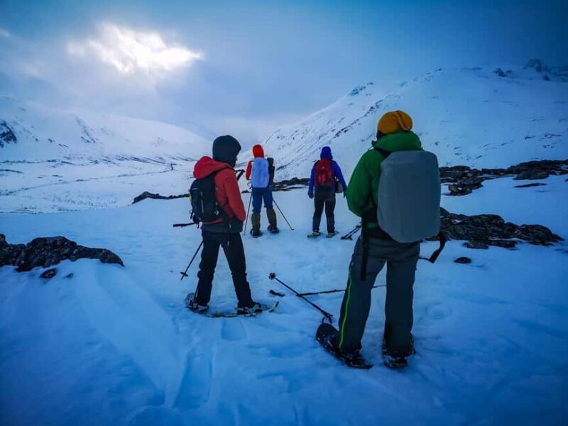Tromsø: Arctic Snowshoeing Experience - Who Will Love This Tour?