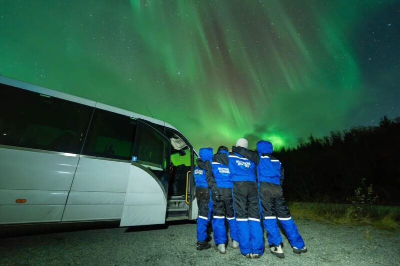 Tromsø: Aurora Borealis, Campfire, Hot Meal, Arctic Tour - Authentic Experiences and Genuine Value