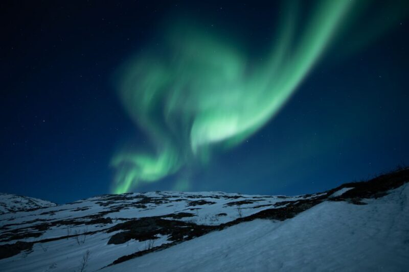 Tromsø: Aurora Borealis, Campfire, Hot Meal, Arctic Tour - The Sum Up