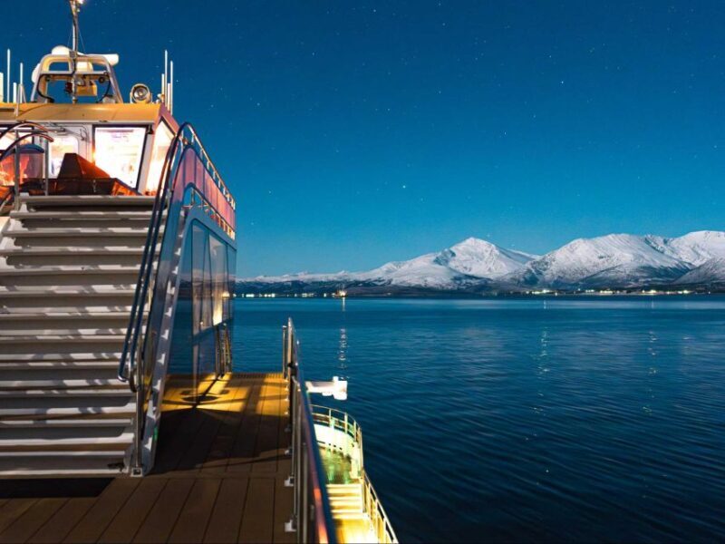 Tromsø: Aurora Dinner Cruise by Hybrid-Electric Catamaran - Who Should Book This Tour?