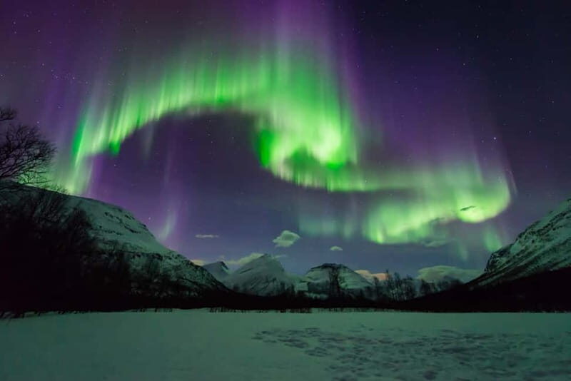 Tromsø: Aurora Hunt with Citizen Science - Price and Value