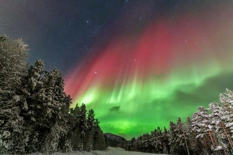 Tromsø: Aurora Quest Luxury Car Experience 6-Hours Tour - Practical Tips for Travelers