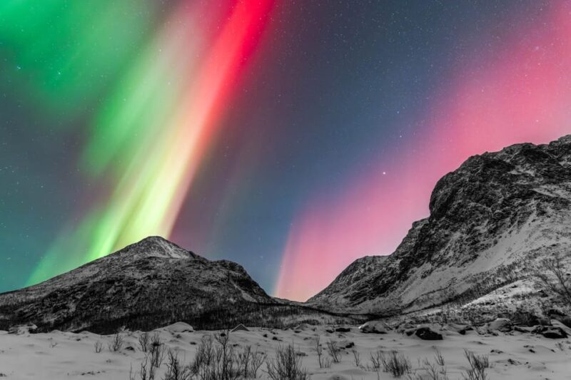 Tromsø: Aurora Quest Minibus Adventure - Who Will Love This?