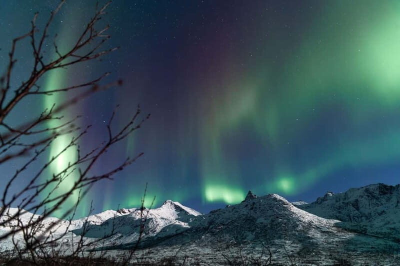 Tromsø: Aurora Quest small group Adventure - Final Thoughts: Who Will Love This Tour?