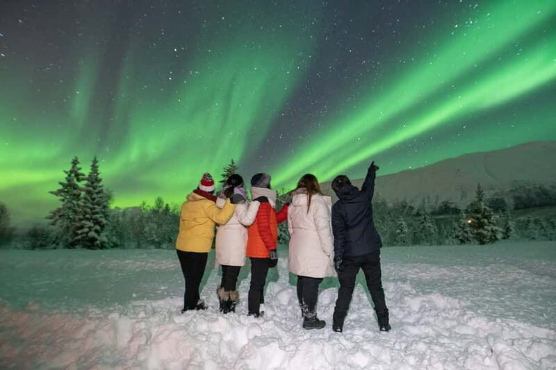 Tromsø: Aurora Safari Chase by big bus with Camp meal - Tromsø: Aurora Safari Chase by Big Bus with Camp Meal – A Detailed Review