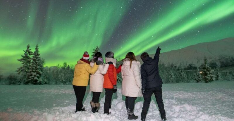 Tromsø: Aurora Safari Chase by big bus with Camp meal - FAQ