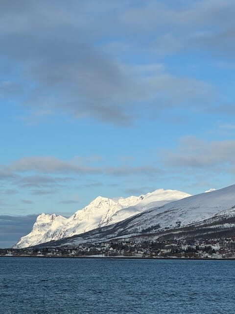 Tromsø: Aurora Tour with Guide and Photos - Max. 15 ppl - Who Is This Tour Best For?