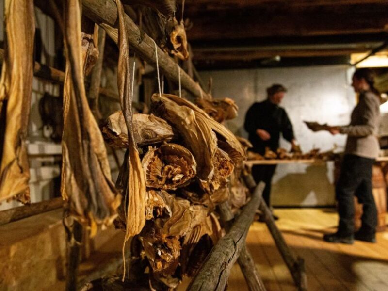 Tromso: Cod-Tasting Tour with Full Steam Museum Entry - Frequently Asked Questions