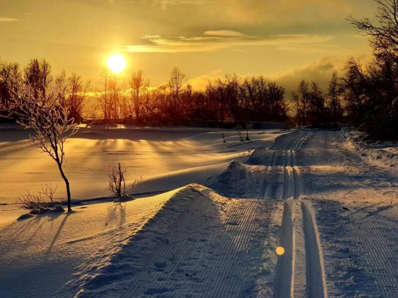 Tromsø: Cross Country Guided Skiing Course - Who Should Consider This Tour?