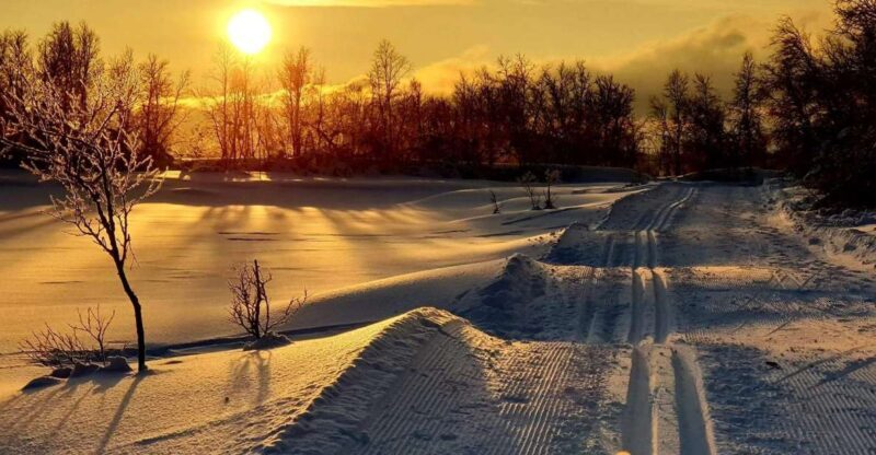 Tromsø: Cross Country Guided Skiing Course - A Deep Dive—What to Expect from the Full Experience