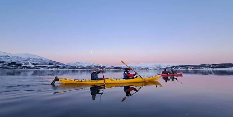 Tromsø: Easy Winter Kayaking Tour with Seal Watching - Tromsø: Easy Winter Kayaking Tour with Seal Watching – A Detailed Review