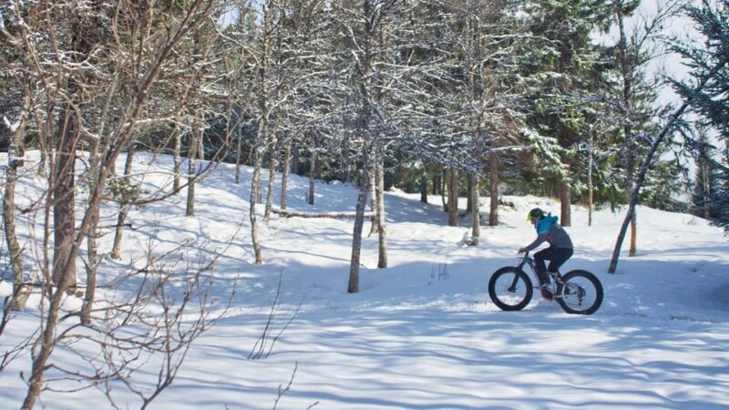 Tromsø: Electric fatbike trip on winter paths - Why This Tour Offers Great Value