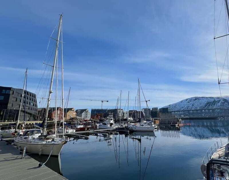 Tromsø: Evening City Walking Tour with Arctic Stories - A Deep Dive into Tromsø: What to Expect from the Evening Walking Tour
