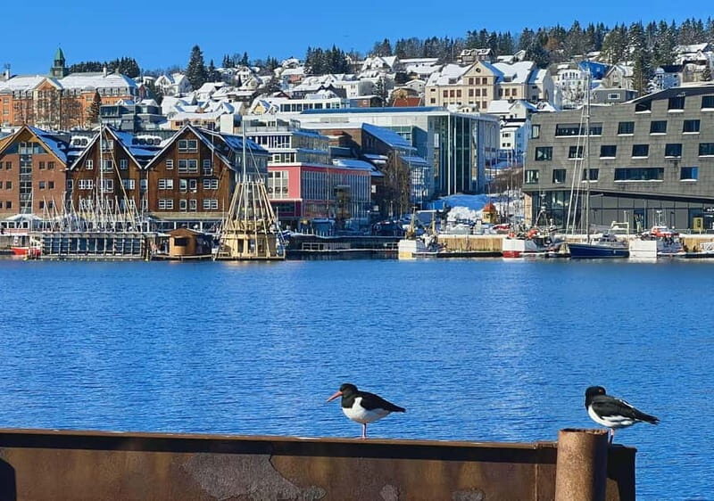 Tromsø: Evening City Walking Tour with Arctic Stories - Why the Stories Matter: Cultural and Historical Context