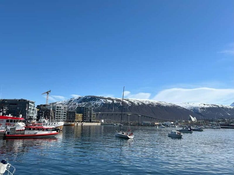 Tromsø: Evening City Walking Tour with Arctic Stories - Final Thoughts