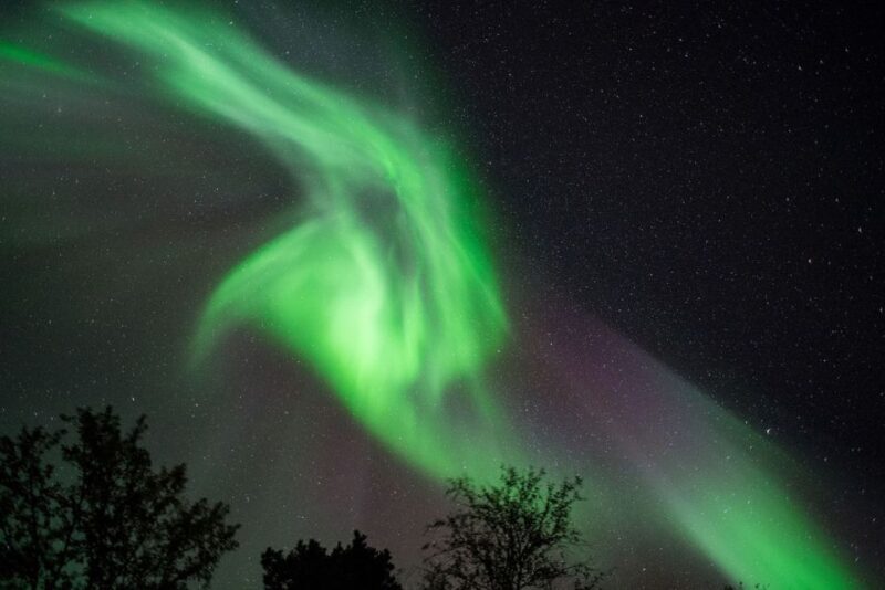 Tromsø: Evening Cruise with Northern Lights Opportunity - Key Points