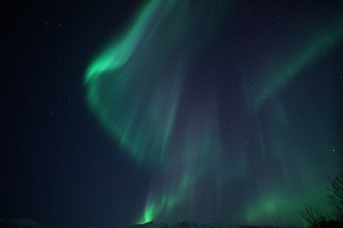 Tromsø: Evening Cruise with Northern Lights Opportunity - Detailed Review of the Tromsø Northern Lights Boat Tour