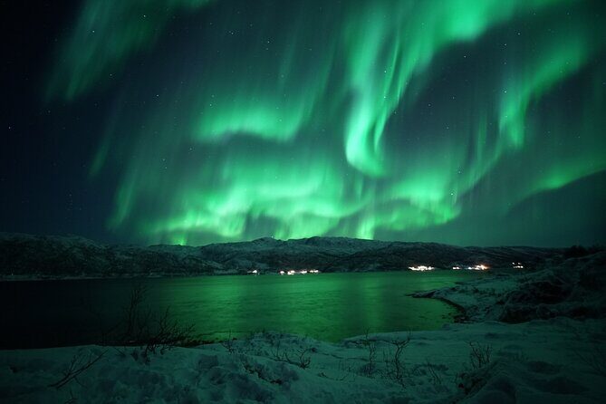 Tromsø: Evening Cruise with Northern Lights Opportunity - Final Thoughts