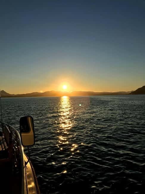Tromsø: Evening Sightseeing Cruise All-inclusive - Tromsø: Evening Sightseeing Cruise All-inclusive – An Authentic Arctic Adventure