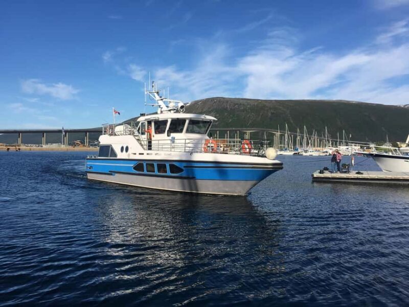 Tromsø: Evening Sightseeing Cruise All-inclusive - The Experience in Detail