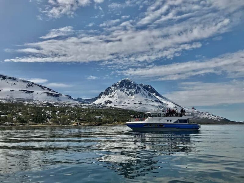 Tromsø: Evening Sightseeing Cruise All-inclusive - What We Think About the Value