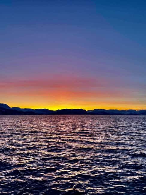 Tromsø: Evening Sightseeing Cruise All-inclusive - The Sum Up: Who Will Love This Tour?
