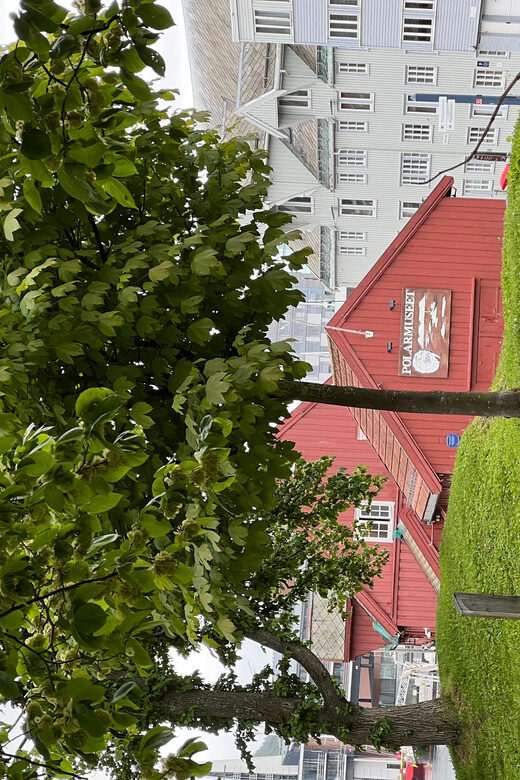 TROMSØ: Explore The City And a Guided Tour Of PolarMuseum! - FAQ