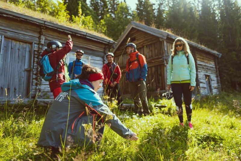 Tromsø: Explore Tromso by E-bike - The Details that Make the Difference