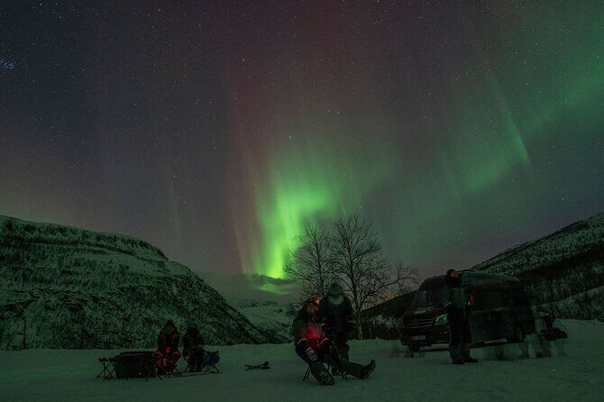 Tromsø: Express Aurora Hunt with Wandering Owl - A Closer Look at the Experience