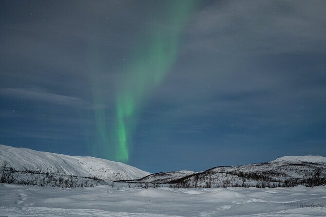 Tromsø: Express Aurora Hunt with Wandering Owl - FAQ