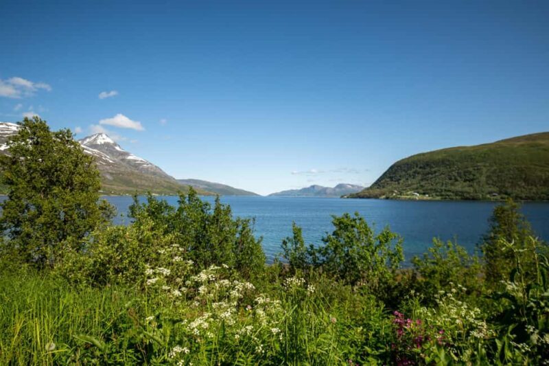 Tromsø: Fjord Adventure with Lunch and Photos - Final Thoughts: Is This Tour Right for You?