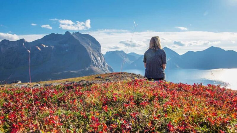 Tromso: Fjord Arctic Adventure Expedition - A Closer Look at the Experience