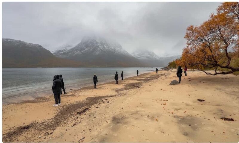 Tromso: Fjord Arctic Adventure Expedition - Final Word