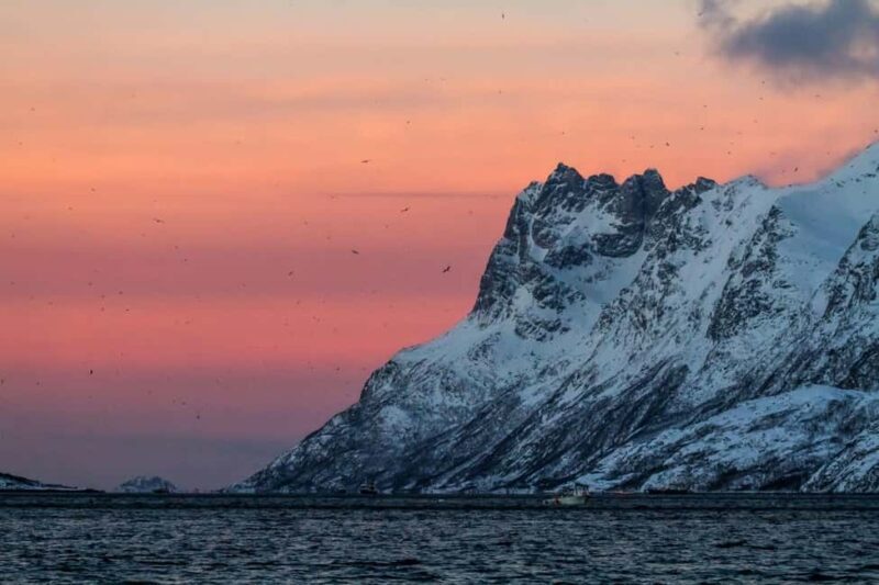 Tromsø: Fjord tour in a minibus and fish soup at Sommarøy - The Sum Up