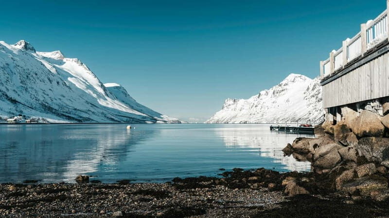 Tromsø: Fjords and Sommarøy Tour with Warm Local Lunch - The Authenticity and Value of This Experience