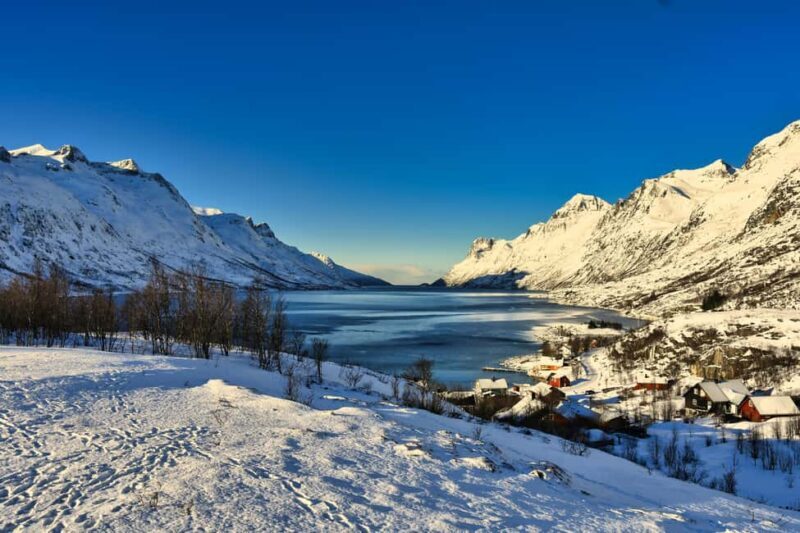Tromsø: Fjords and Sommarøy Tour with Warm Local Lunch - Who Would Love This Tour?