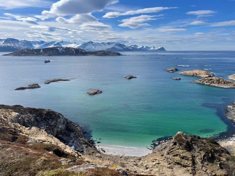 Tromsø: Fjords and Wildlife Tour in a Minibus - The Sum Up