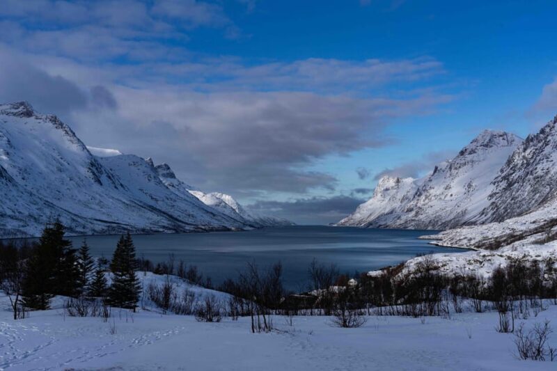 Tromsø: Fjords & Beaches Tour with campfire and photos - Frequently Asked Questions