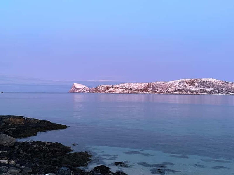 Tromsø: Fjords, Mountains and City Highlights Day Tour - Key Points