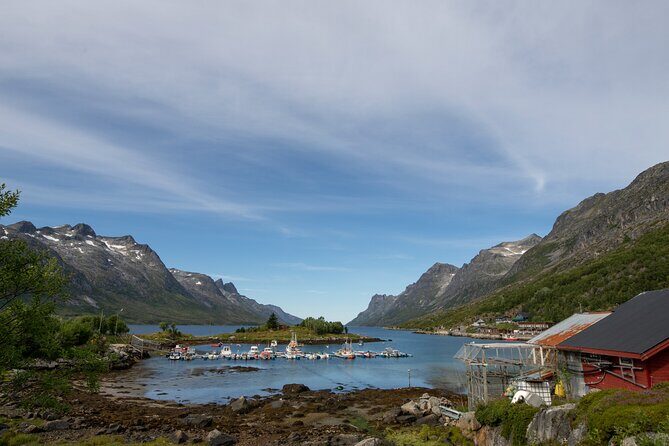 Tromso fjords road trip with fire in grill cabin by the beach. - Who Should Consider This Tour?