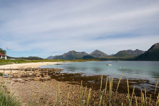 Tromso fjords road trip with fire in grill cabin by the beach. - The Sum Up
